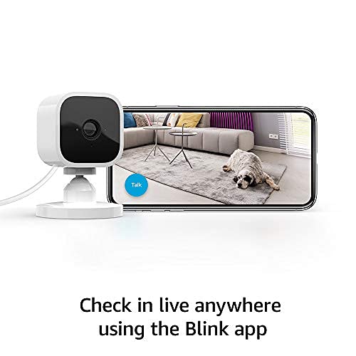 Cámara Blink Mini
