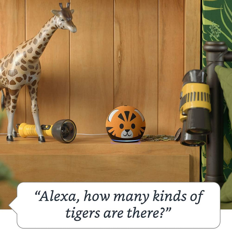 Alexa Echo Dot Kids